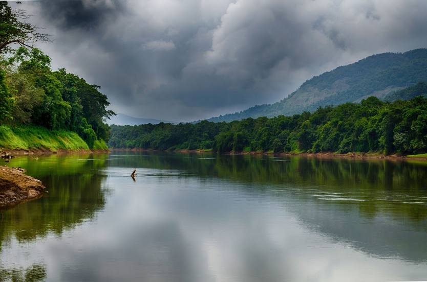 Thattekad Bird Sanctuary