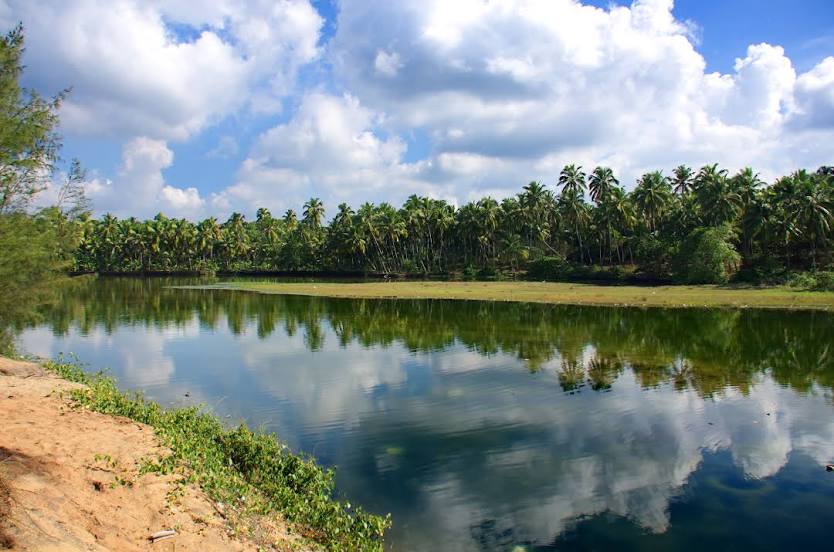 Paravur Lake