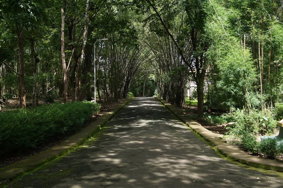 Teak Museum & Bio-resources