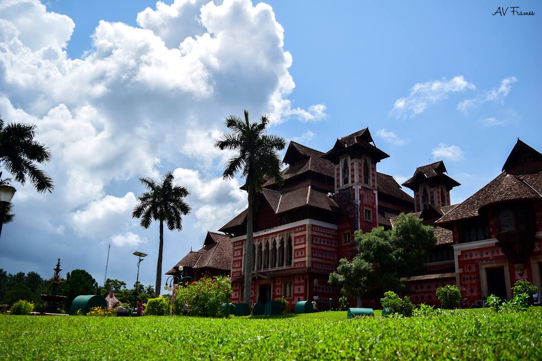 napier museum