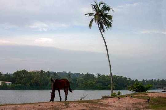 Veli Lake Tourist Village