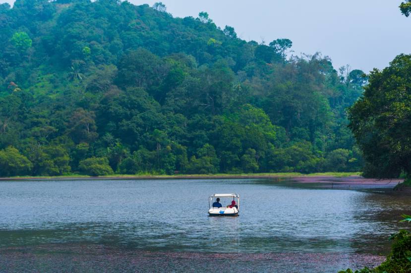 Pookode Lake